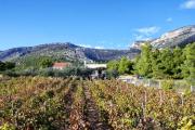 Holiday house with a parking space Bol, Brac - 2894