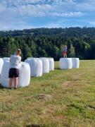 Top Ustrzyki Dolne Top Ustrzyki Dolne