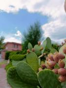 Top Francavilla Marittima