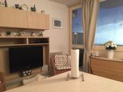 Studio rénové cabine au pied des pistes, 4 pers., animaux non admis - FR-1-181-2586