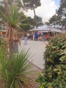 Top Vendays-Montalivet