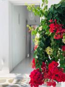 Top Naxos Chora