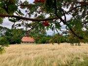 Top Mala Kamlenica Top Mala Kamlenica