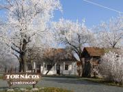 Top Felsőszenterzsébet