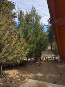 Casa Pehuenia, linda cabaña a pasos del Lago