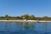 Secluded fishermans cottage Krknata, Dugi otok - 8150
