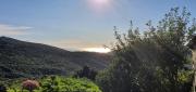 Top Isolaccio-di-Fiumorbo
