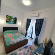Seb apartment mamaia nord