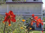 Rab Paradise Villa -3 Bedrooms 3 Bathrooms Rab Paradise Villa -3 Bedrooms 3 Bathrooms