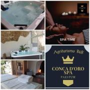 Top Ogliastro Cilento