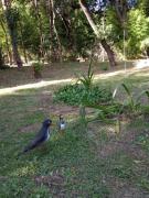 Top Las Chacras (La Paz)