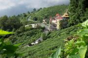 Traditional Hotel & Restaurant !! Kurseong !! Best Hotel in Kurseong