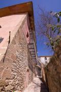 Top Morella