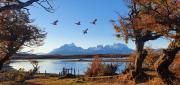 Top Torres del Paine