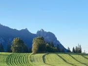 Top Bischofswiesen
