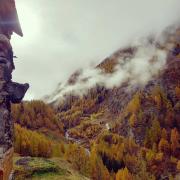 Top Rhemes-Saint-Georges