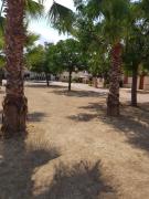 appartement avec terrasse , jardinet et piscine