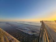 Studio en bord de mer avec parking et animaux admis - FR-1-224C-197