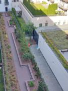 Top Szczecin Top Szczecin