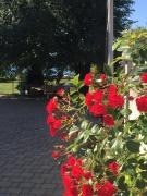 Top Sveti Filip i Jakov