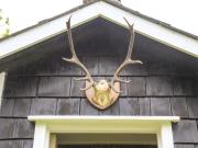 Top Velindre-farchog