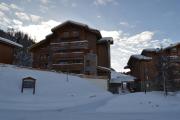 Top Montalbert