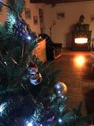 Top Jestrabi V Krkonosich