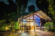 Top Daintree