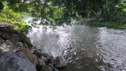 Top Suan Phung