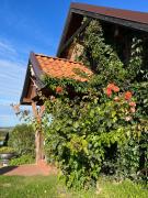 Top Świątki Top Świątki