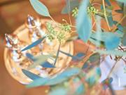 Top Ostseebad Sellin Top Ostseebad Sellin