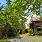 Top Surat Thani Top Surat Thani