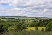 Top Greenhaugh