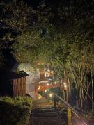 Top Pereira Top Pereira