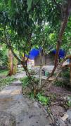 Top Almora