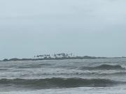 Rock n Ocean 2BH Beach villa island Facing