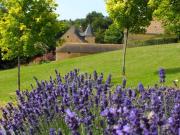 Top Asnières-sur-Vègre