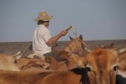 Top Estancia Campo Aroma