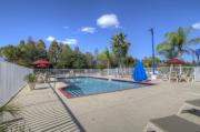 Top Orlando
