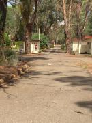 Top Coonabarabran