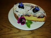 Top Kašperské Hory