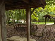 Top Petrovac na Mlavi