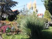 Top Saulcy-sur-Meurthe