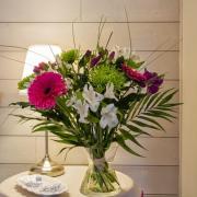 Top Aigrefeuille-dʼAunis