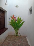 Top Paso de los Libres