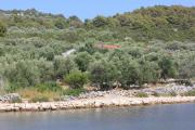 Seaside secluded apartments Cove Magrovica - Telascica, Dugi otok - 8139