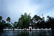 Top Alleppey Top Alleppey