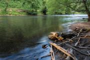 Top Ellijay