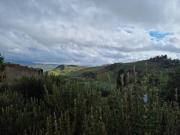 Top Petralia Soprana