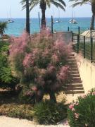 Top Sanary-sur-Mer